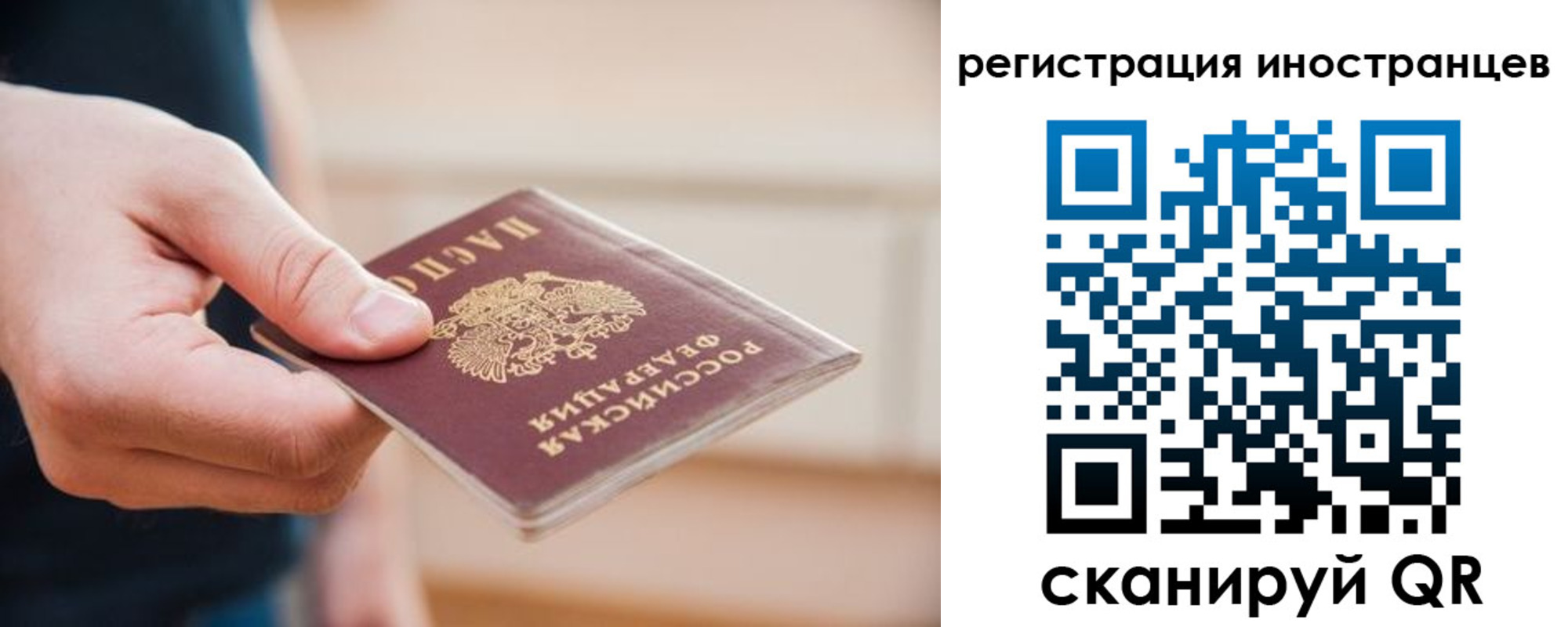 прописка гарантия в Электроуглях